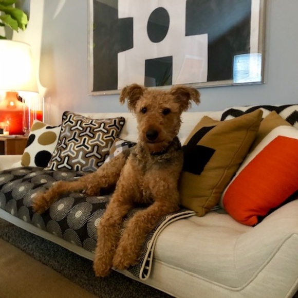 Add me on Instagram for Newest Listings:  @morrisPMcloset! - Picture 3 of 5